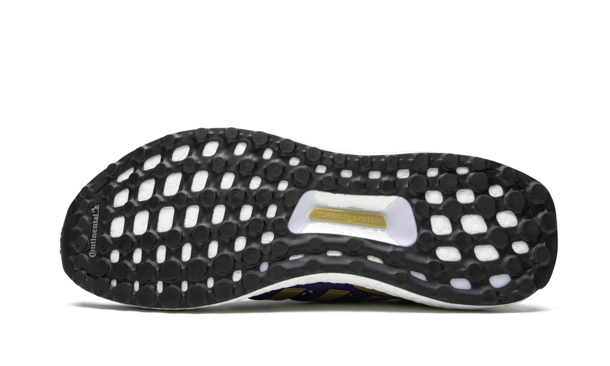 UltraBOOST x UW "Washington Huskies" FV0282