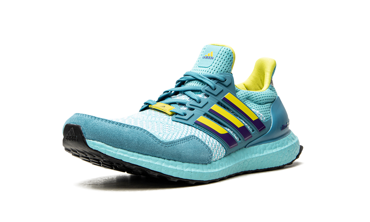 UltraBoost 1.0 DNA "Aqua ZX 8000" H05263